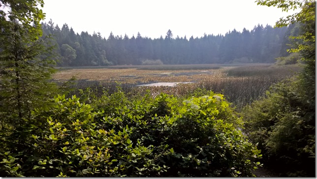 WP_20150823_11_37_38_Pro