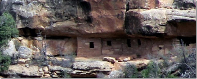 IMG_4618AdjustedCropped