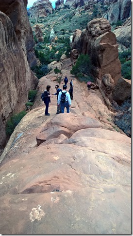 WP_20151021_13_24_05_ProAdjusted